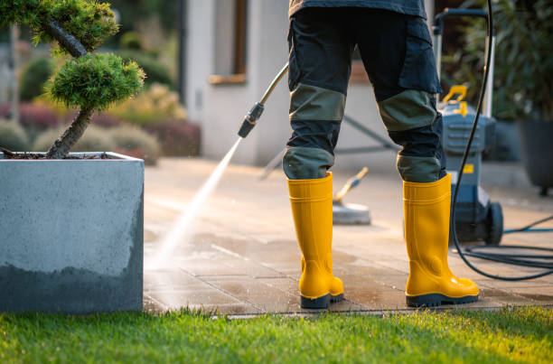 Best Residential Pressure Washing Services  in Camn, DE